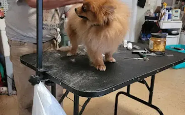 Acme Grooming & Pet Haven in Satsuma, FL