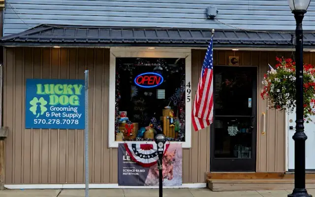Lucky Dog Grooming and Pet Supply in Montrose, PA