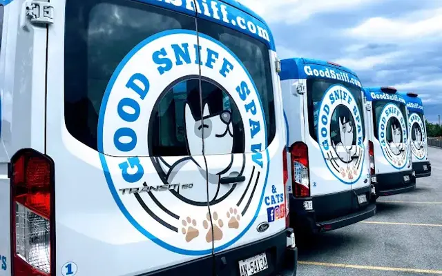 Good Sniff Spaw Inc (Texas) in Houston, TX