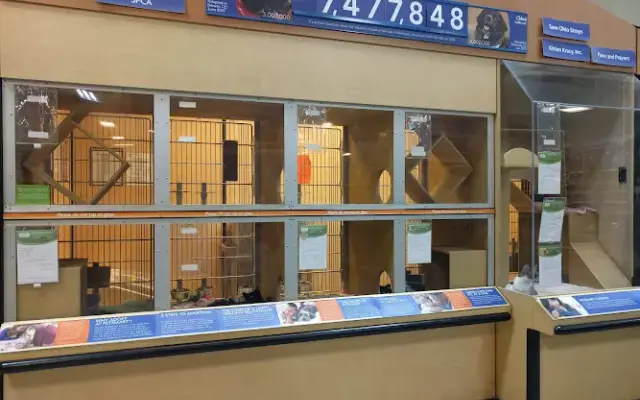 PetSmart in Medina, OH