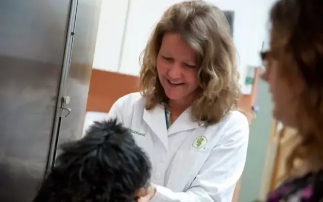 Valley Veterinary Hospital in Harrisonburg, VA