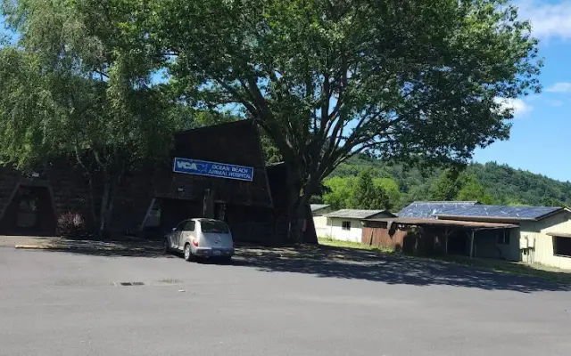 VCA Ocean Beach Animal Hospital in Longview, WA