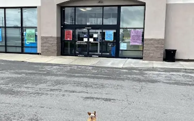 Petco in Bowling Green, OH
