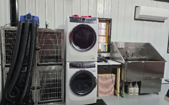 Starpups Grooming in Paris, TN