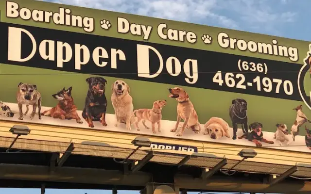Dapper Dog Pet Grooming in Troy, MO