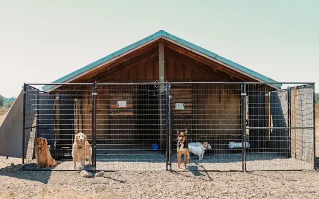 Adamson Acres Doggy Daycare & Boarding in Eagle Creek, OR