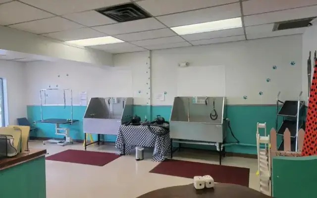 Doo Wop Pup Shop in Factoryville, PA
