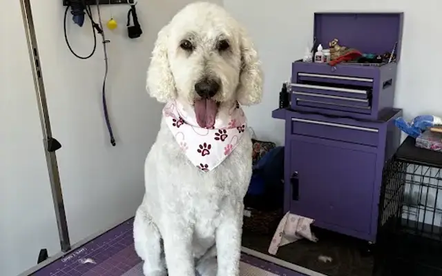 Studio Woof Plum in Plum, PA
