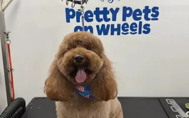 Pretty Pets On Wheels in McKinney, TX