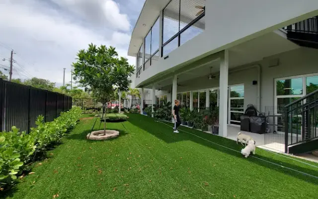 Pet Poodle Resort and Spa in Miami, FL
