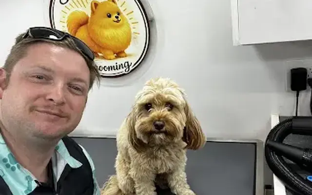 Simplicity Dog Grooming Services in Petaluma, CA