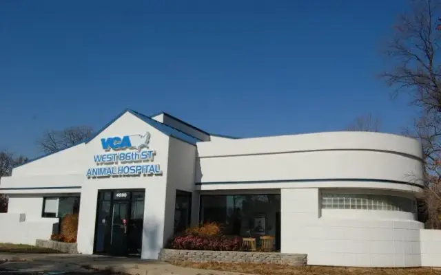 VCA West 86th St. Animal Hospital in Indianapolis, IN