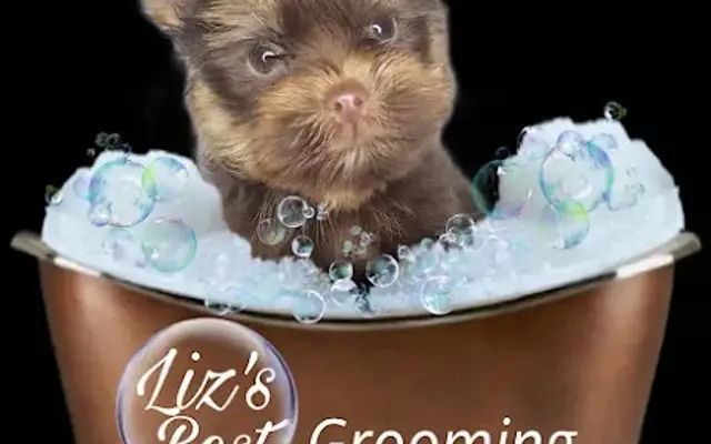 Lizs Best Grooming LLC in Ontario, OR