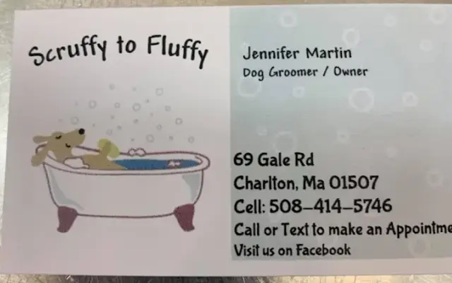 Scruffy to Fluffy in Charlton, MA