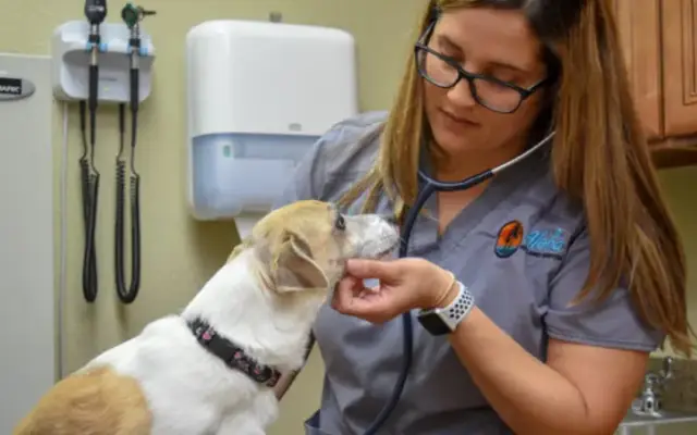 Aloha Pet and Bird Hospital in Indian Harbour Beach, FL