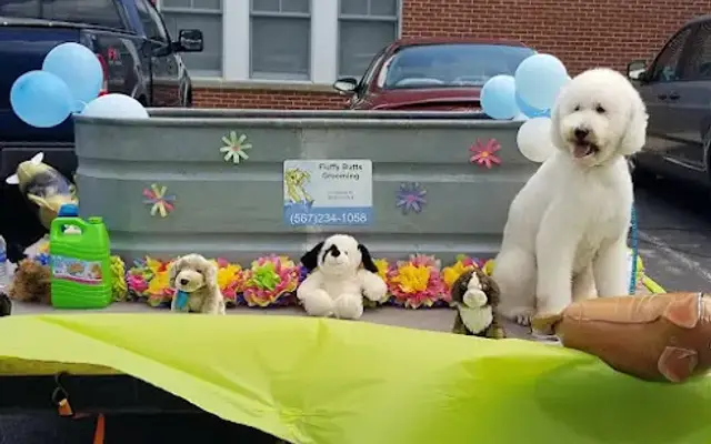 Fluffy Butts Grooming in Huron, OH
