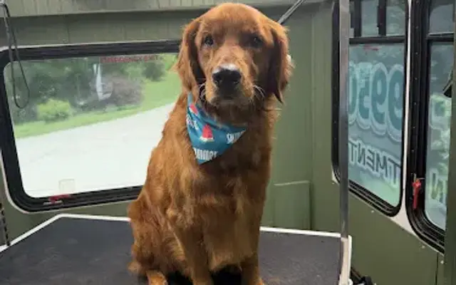 Hair Of The Dog Mobile Grooming LLC in Rockmart, GA