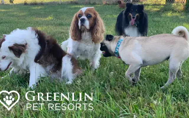 Greenlin Pet Resorts - Harrisburg in Harrisburg, PA