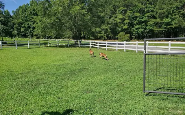 Prince Frederick Kennels in Prince Frederick, MD