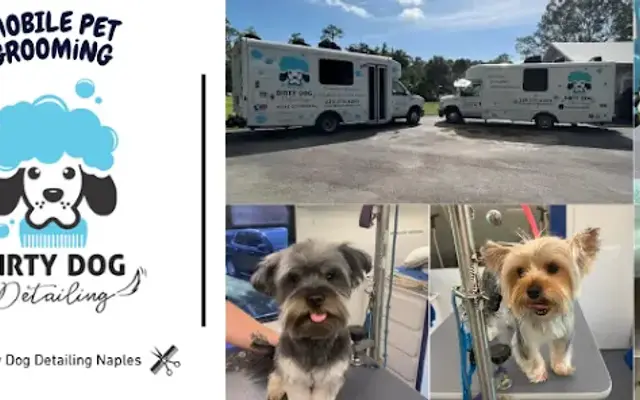 Dirty Dog Detailing in Naples, FL