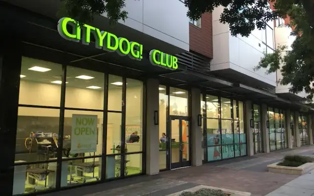 Citydog! Club in Mountain View, CA