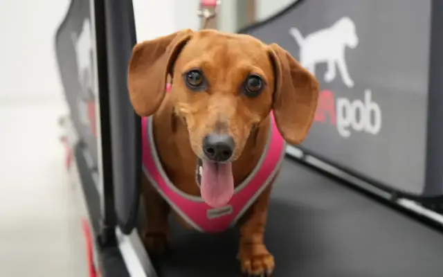 Care Pet Planet in Jacksonville, FL