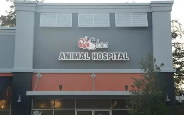 Shores Animal Hospital in St. Augustine, FL