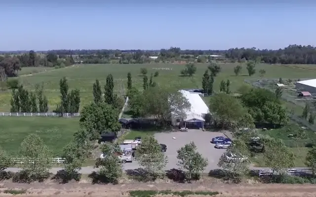 29 Palms Pet Resort in Woodland, CA
