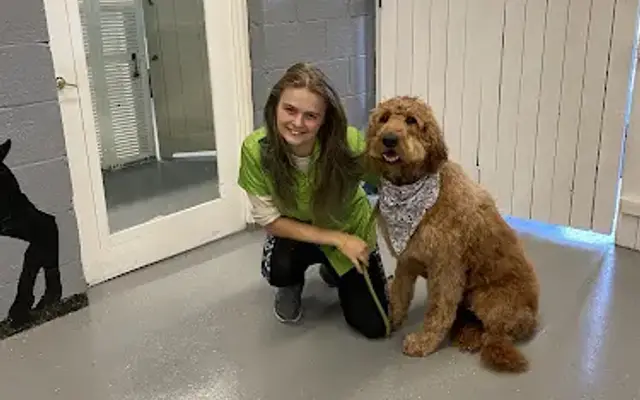 Pawsibilities Dog Grooming in Fort Loudon, PA