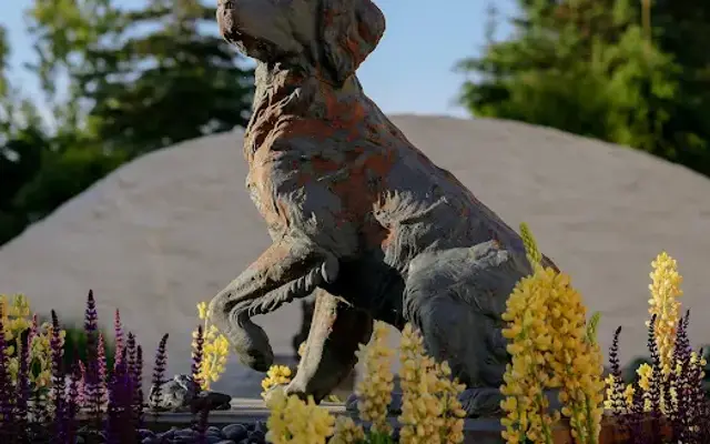 Canine College in Redding, CT