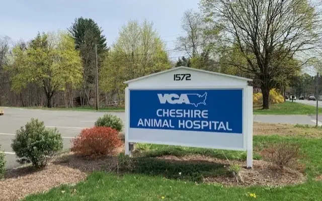 VCA Cheshire Animal Hospital in Cheshire, CT