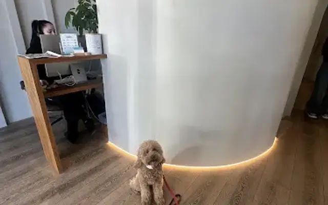 HealthySmiles Pet Dental in Miami, FL