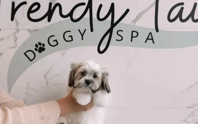 Trendy Tails Doggy Spa in Marietta, GA
