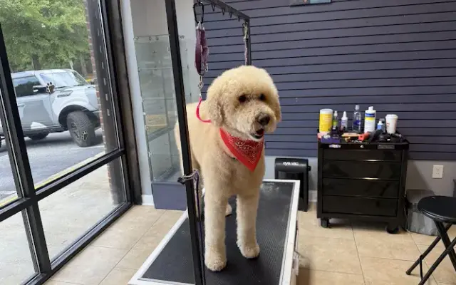 The Fur Dept. Mobile Grooming Co. in Roswell, GA