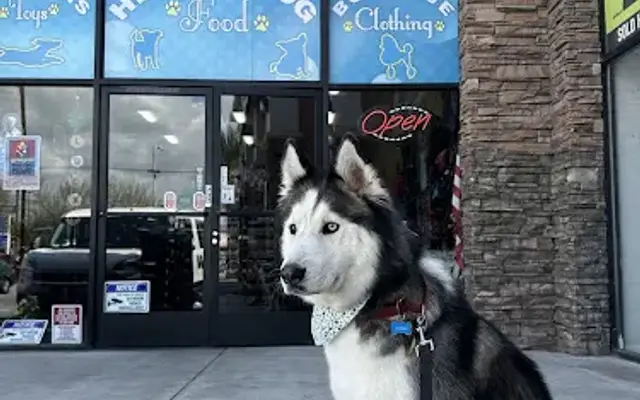 Lucky Dog Pet Grooming in Panorama City, CA