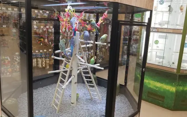 Petco in Baytown, TX