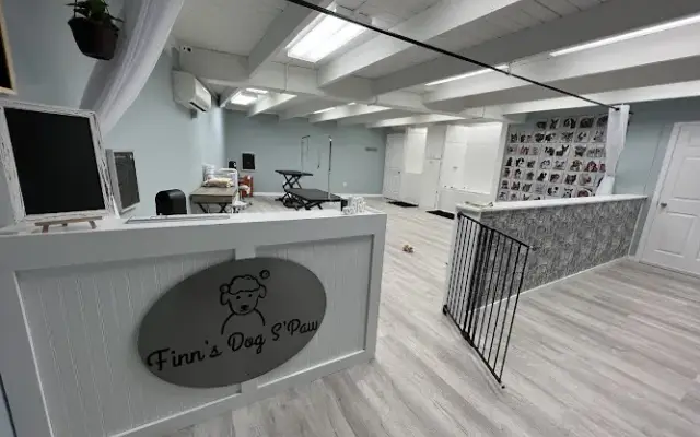Finn's Dog S'Paw in Belvidere, NJ
