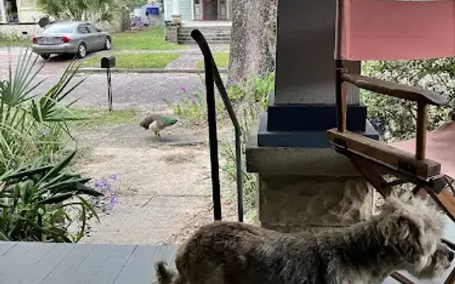 Barkin Lot in Palatka, FL