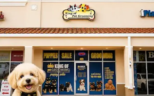 KING OF PET GROOMING • Puppy Boutique & Exotic Birds in Miami, FL