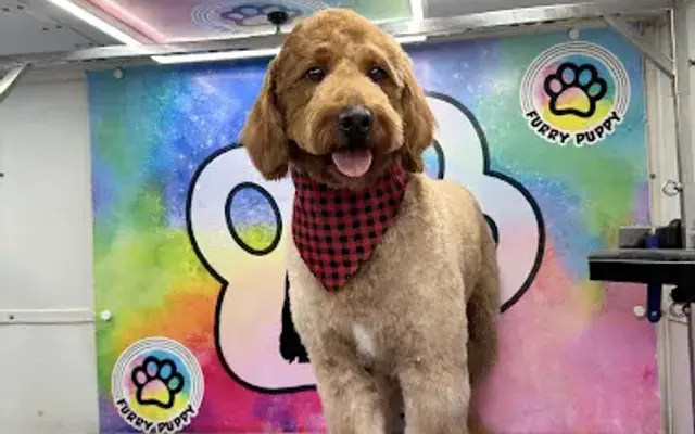 Furry Puppy Mobile Pet Grooming in Houston, TX