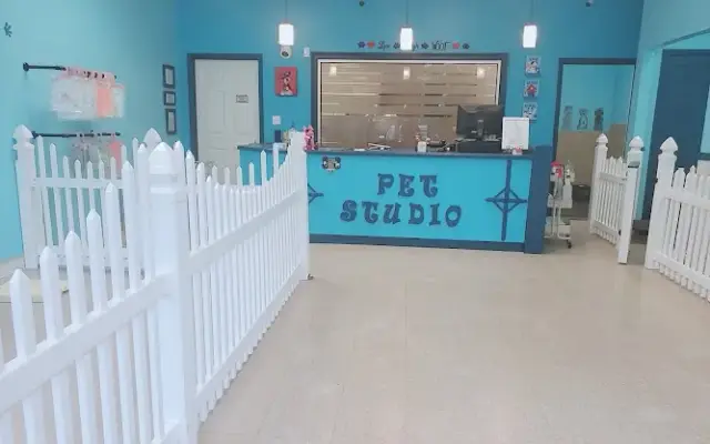 Pet Studio - Grooming & Boarding in Buford, GA