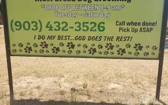 Forest Grooming in Tool, TX