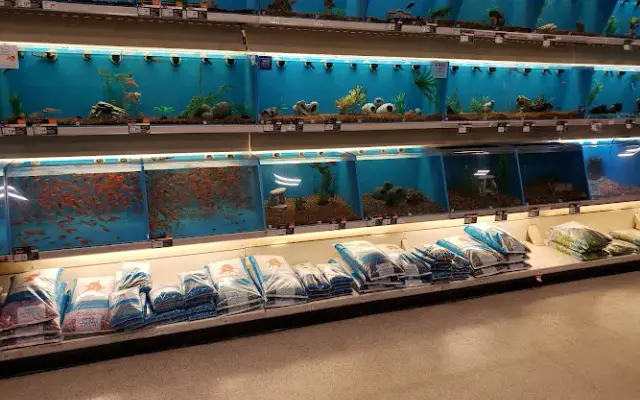 PetSmart Grooming in Southfield, MI