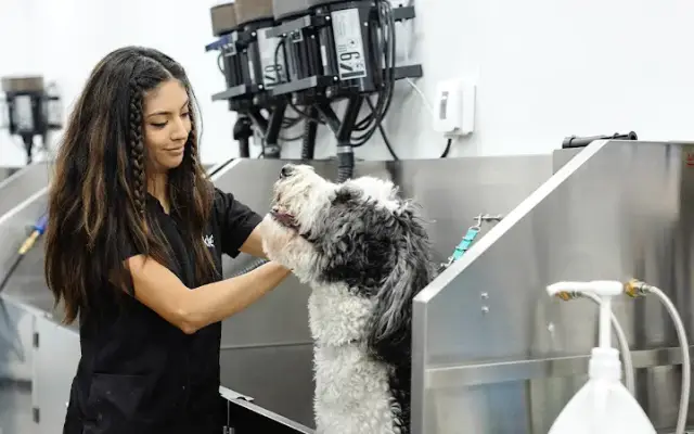 Sparkle Grooming Co. in Avon, OH