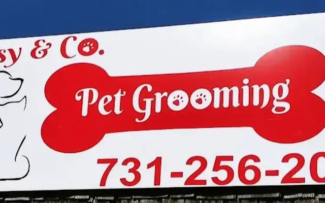 Missy & Co. Pet Grooming in Jackson, TN