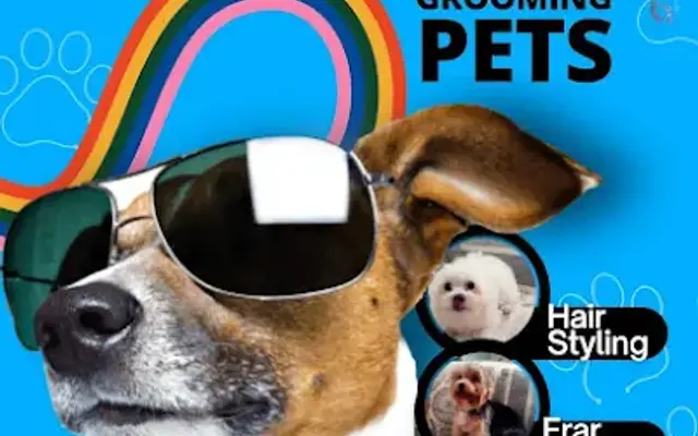 Groommingpetshd in Tampa, FL
