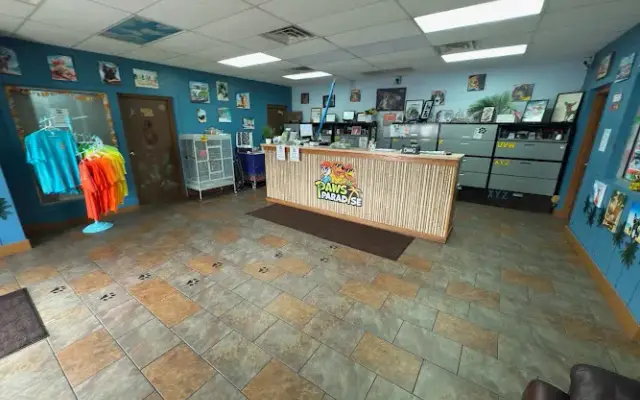 Paws Paradise, LLC in Boardman, OH