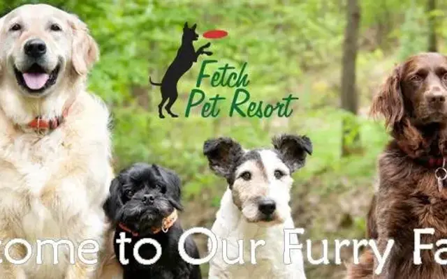 Fetch Pet Resort in Humble, TX