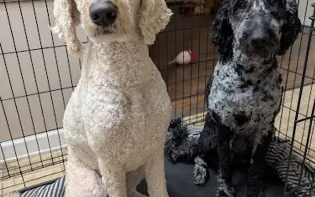 Bed Bath And A Bone in West Jefferson, NC
