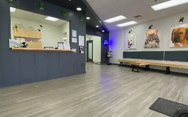 Blue Paw Primary Pet Care in Lexington, KY